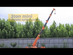 ปั้นจั่นแมงมุมขนาดเล็ก