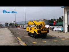 รถเครนตีนตะขาบแมงมุม